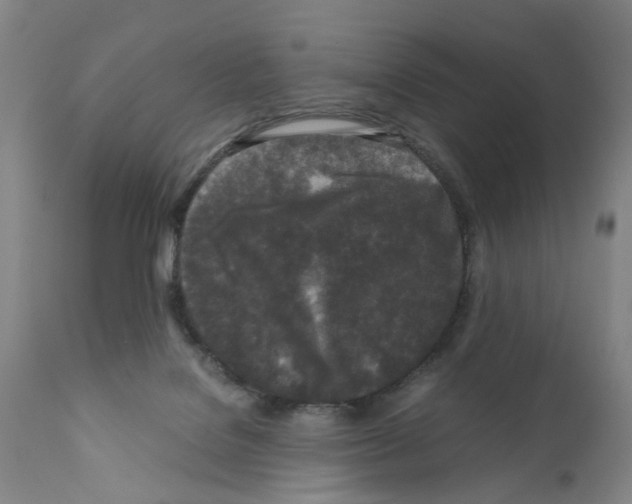 X0000110950076200907311052