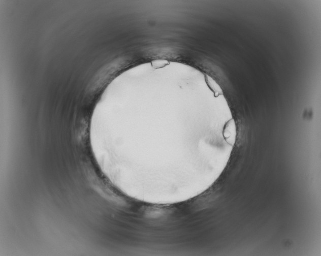 X0000110950077200907311052