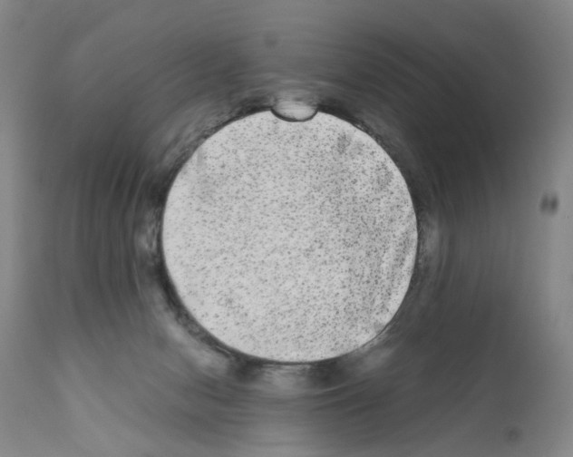 X0000110950078200907311052