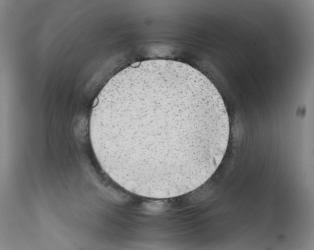 X0000110950079200907311052