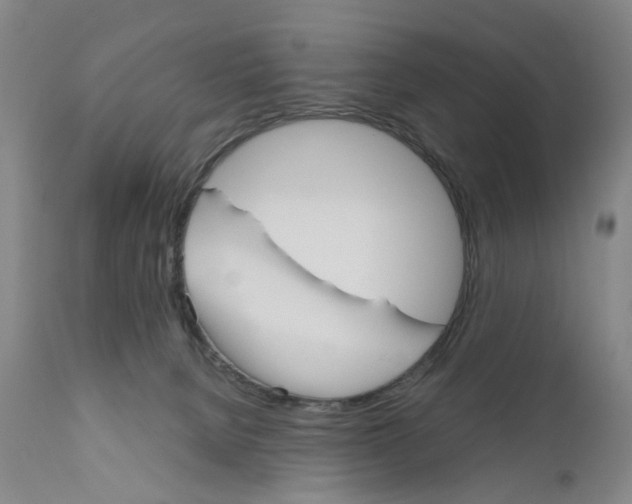 X0000110950080200907311052