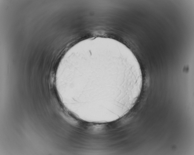 X0000110950081200907311052