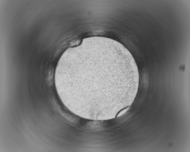 X0000110950082200907311052