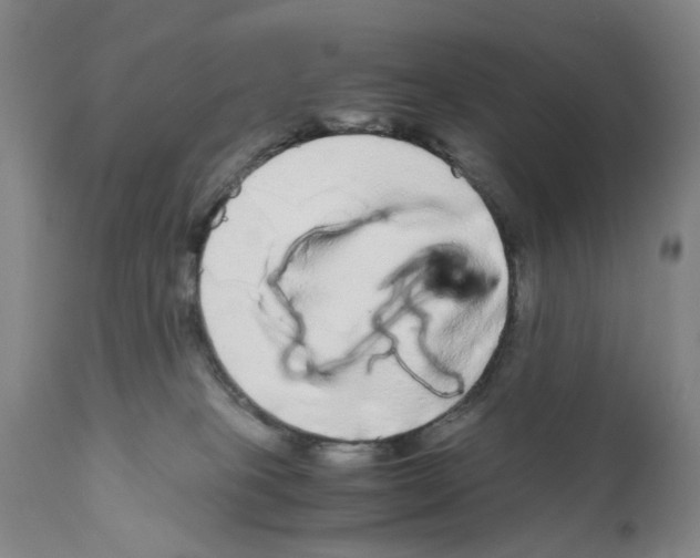 X0000110950085200907311052
