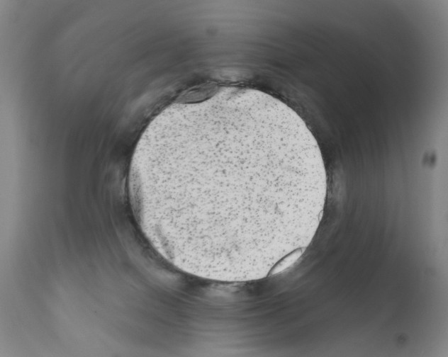 X0000110950086200907311052
