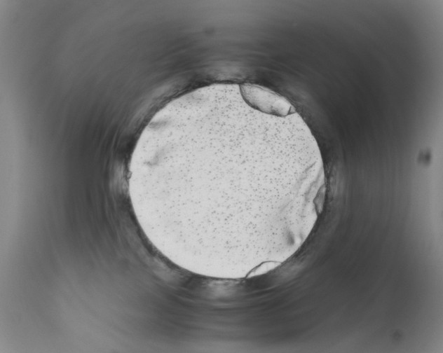 X0000110950089200907311052