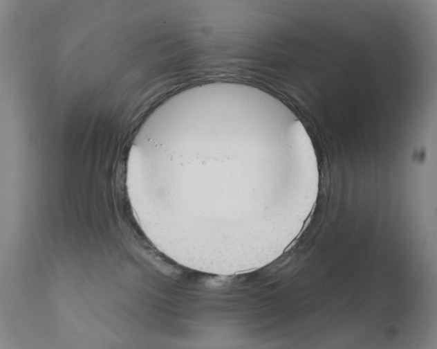 X0000110950092200907311052