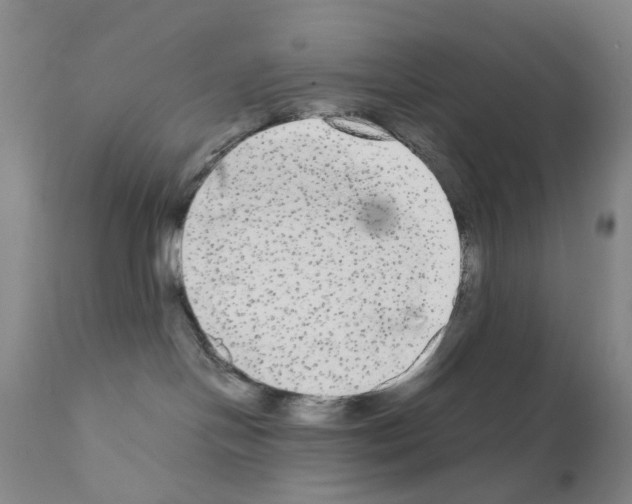 X0000110950094200907311052