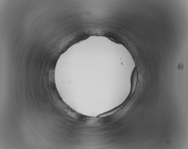 X0000110950096200907311052