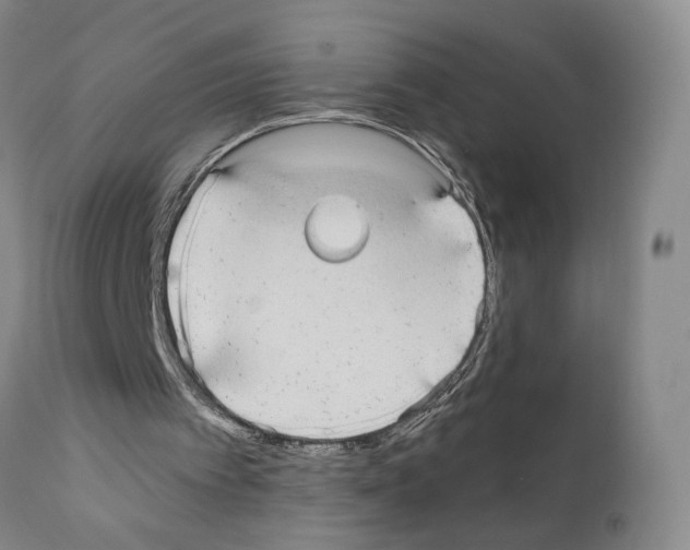 X0000110950097200907311052