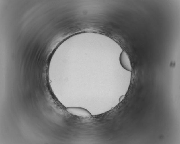 X0000110950098200907311052