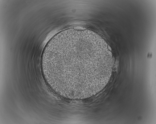 X0000110950099200907311052