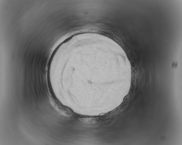 X0000110950100200907311052