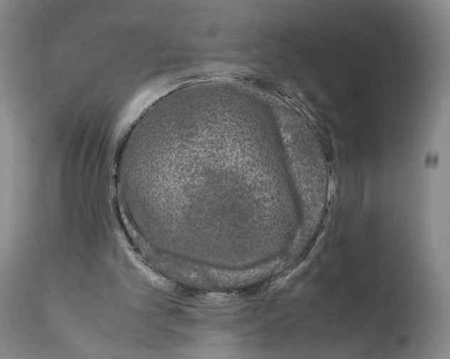 X0000110950101200907311052