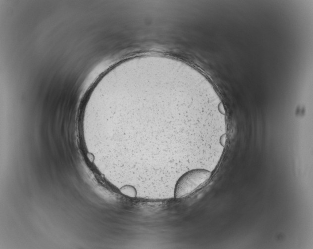 X0000110950102200907311052