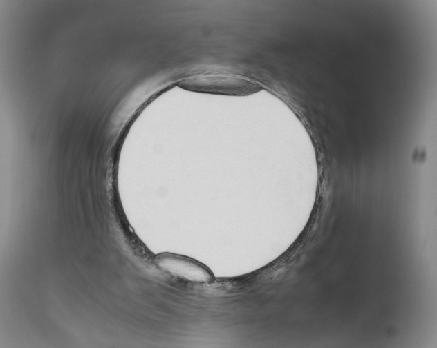 X0000110950103200907311051
