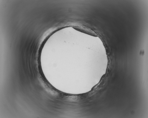 X0000110950104200907311051