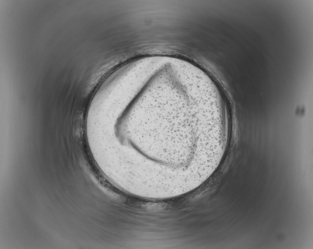 X0000110950105200907311051