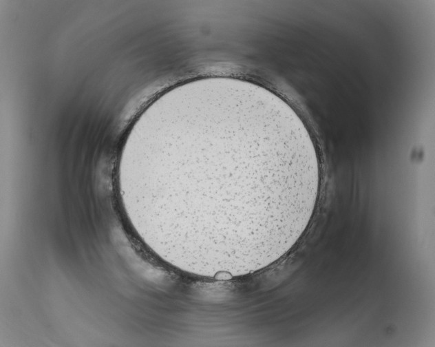 X0000110950106200907311051
