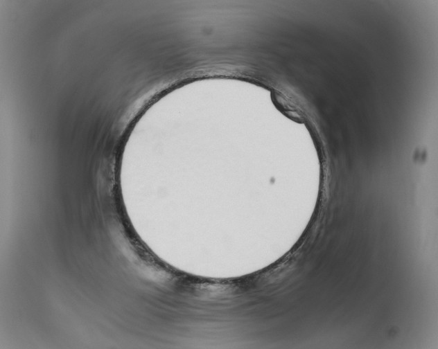 X0000110950107200907311051