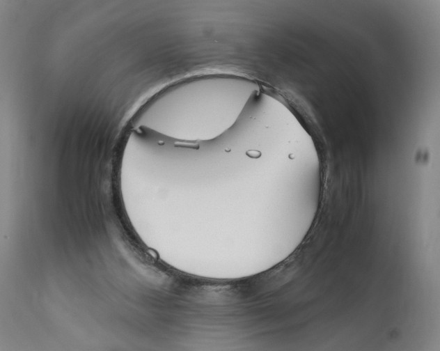 X0000110950108200907311051