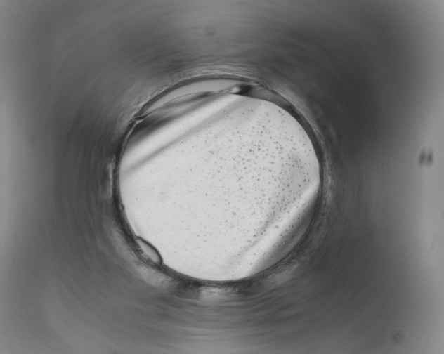 X0000110950109200907311051
