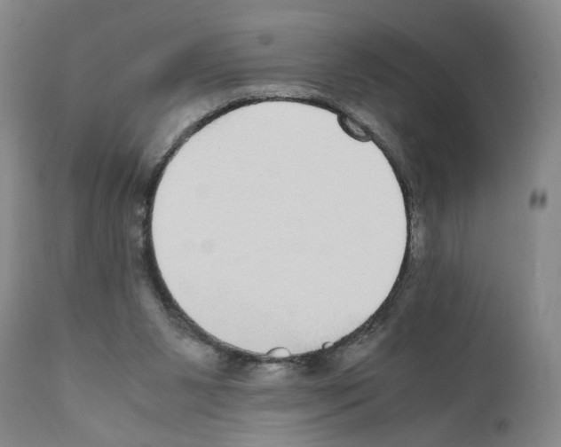 X0000110950111200907311051