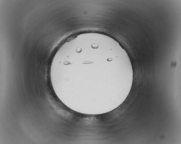 X0000110950112200907311051