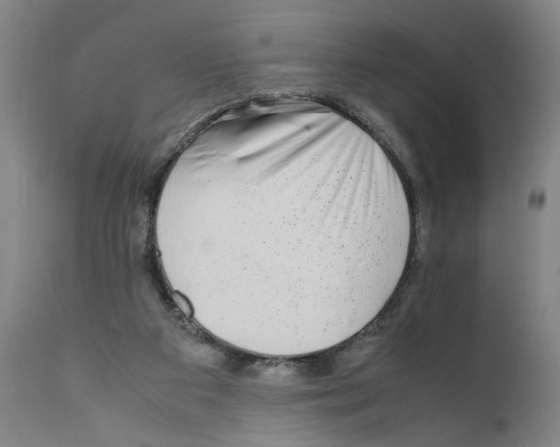 X0000110950113200907311051