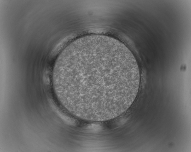 X0000110950114200907311051