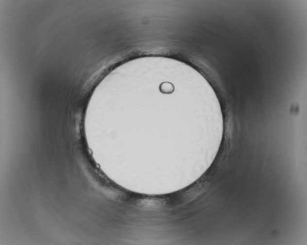 X0000110950115200907311051