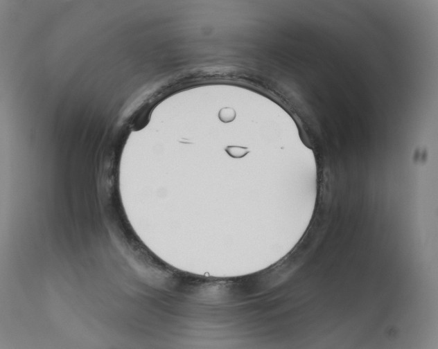X0000110950116200907311051