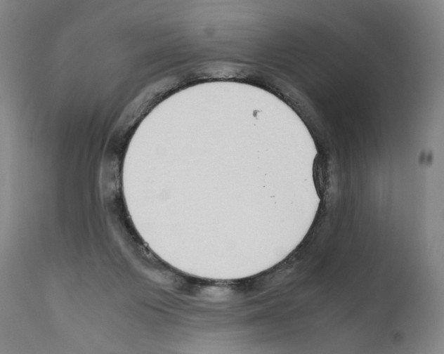 X0000110950119200907311051