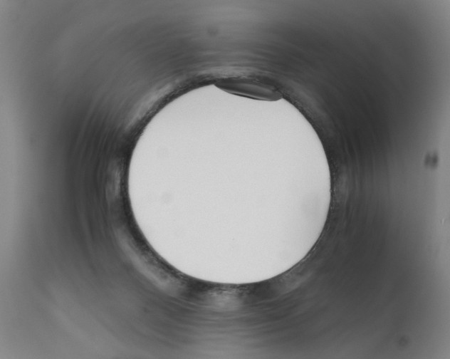 X0000110950120200907311051