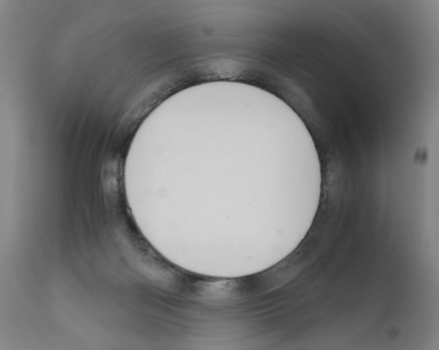 X0000110950122200907311051