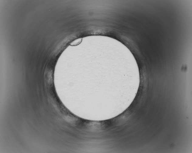 X0000110950123200907311051