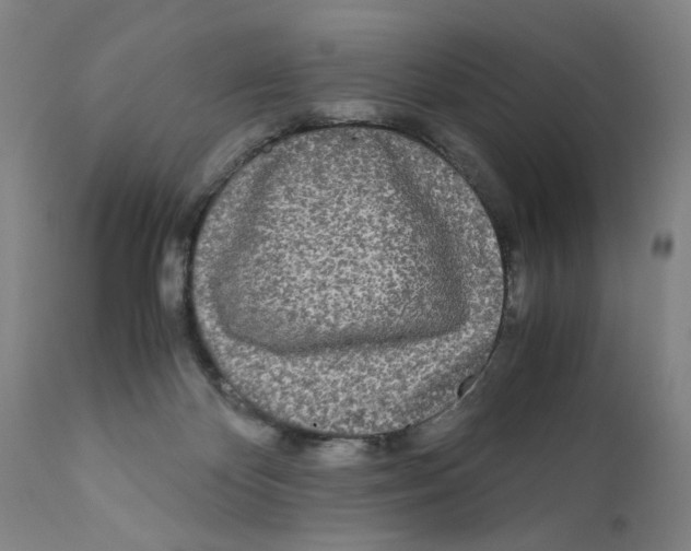 X0000110950124200907311051