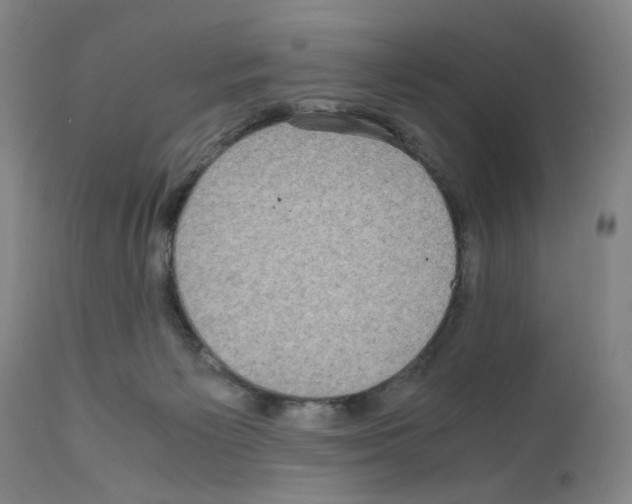 X0000110950125200907311051