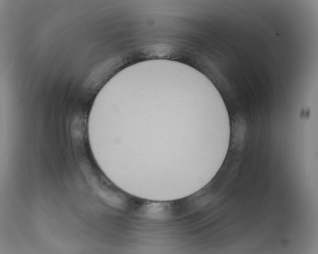X0000110950126200907311051