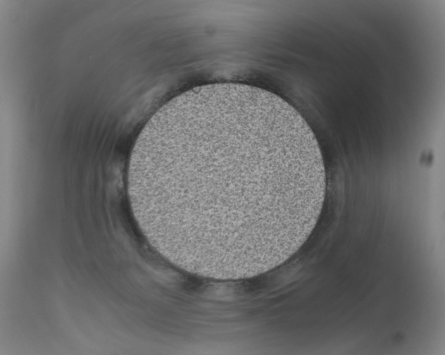 X0000110950127200907311051