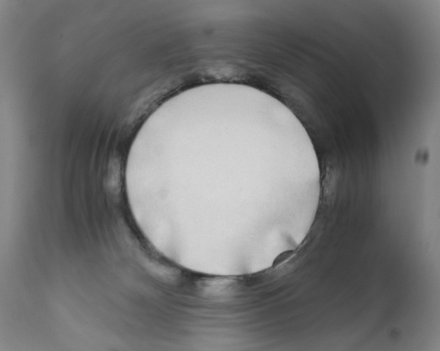 X0000110950132200907311051
