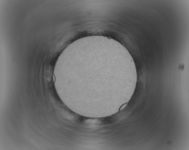 X0000110950133200907311051