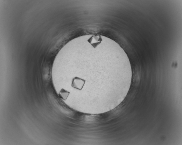 X0000110950134200907311051