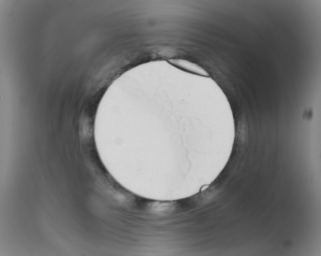 X0000110950135200907311051