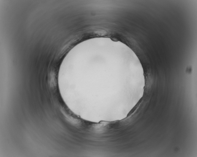 X0000110950136200907311051