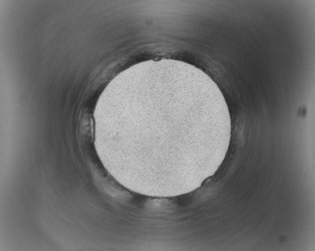 X0000110950137200907311051