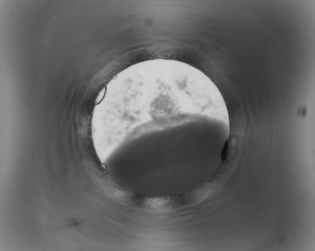 X0000110950139200907311051
