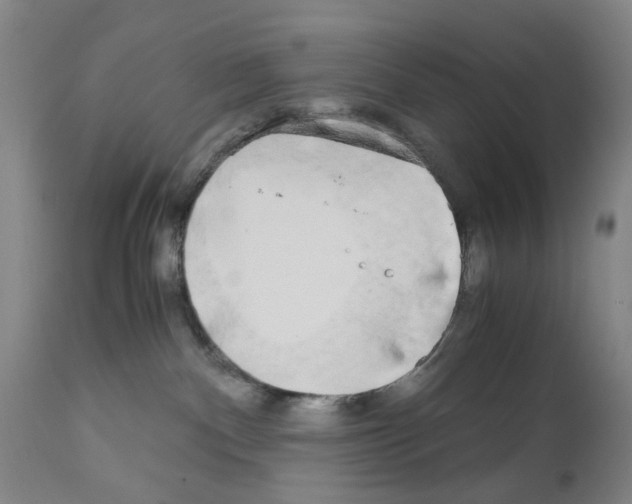 X0000110950140200907311051