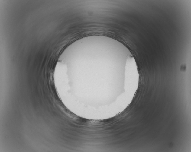 X0000110950141200907311051