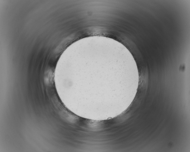 X0000110950142200907311051